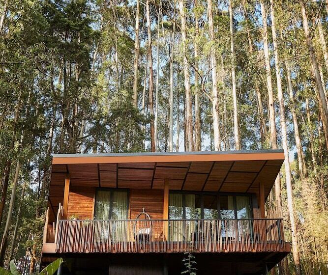 هتل One&only Gorilla S Nest