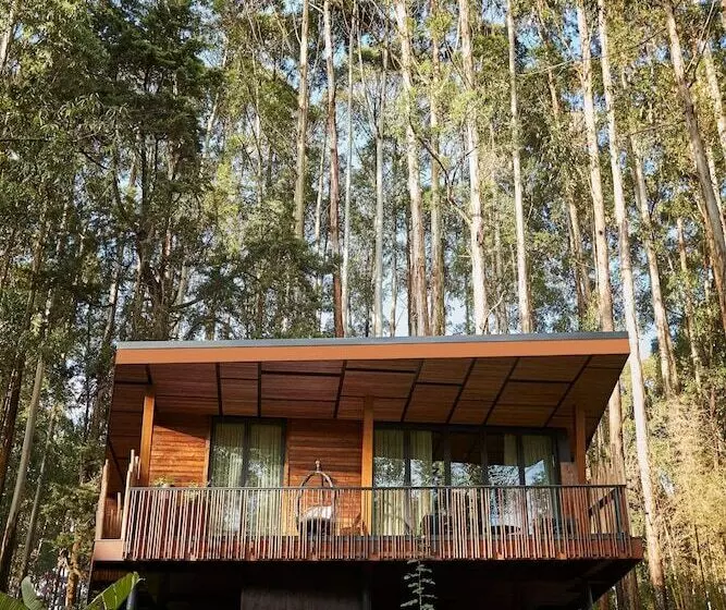 هتل One&only Gorilla S Nest