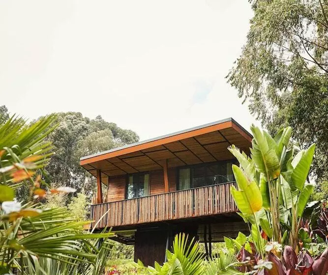 هتل One&only Gorilla S Nest