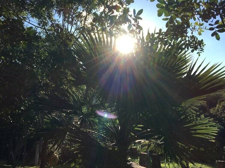 호텔 Rancho Ecologico Oasis De Luz