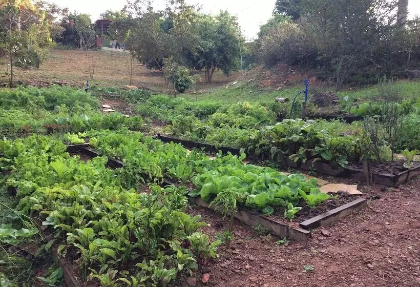 ホテル Rancho Ecologico Oasis De Luz