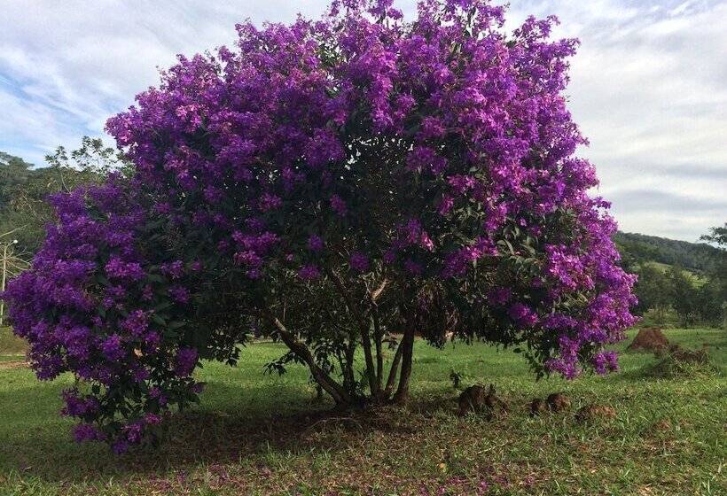 호텔 Rancho Ecologico Oasis De Luz