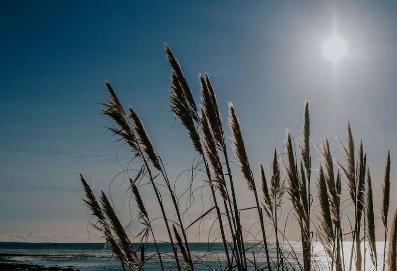 فندق The Wooden House Room Only Accomodation