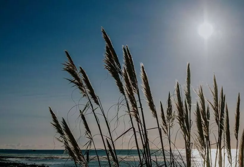 ホテル The Wooden House   Room Only Accomodation