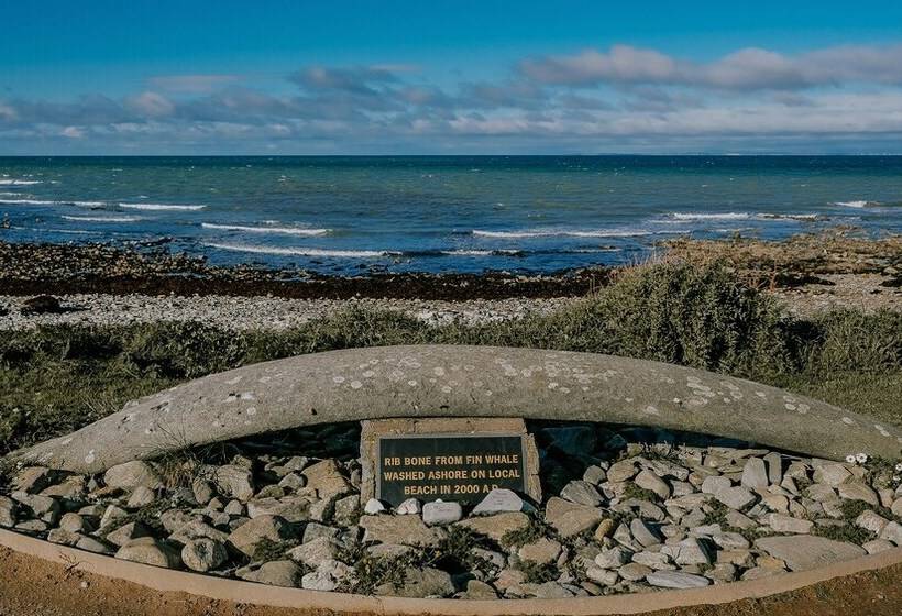 فندق The Wooden House Room Only Accomodation