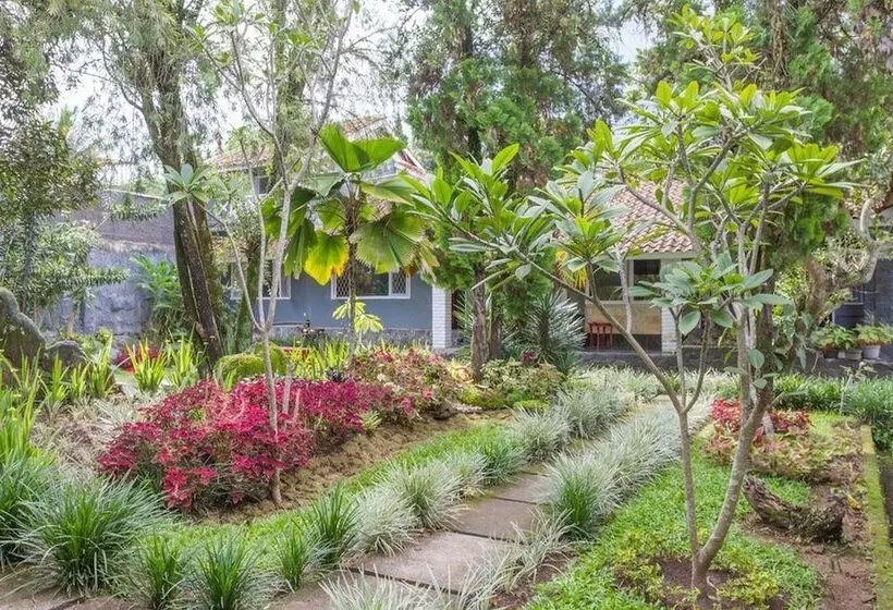 Majatalo Reddoorz Plus @ Otista Garut