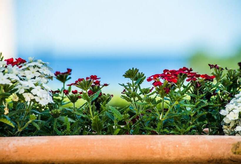 Amboula Beach Apartments