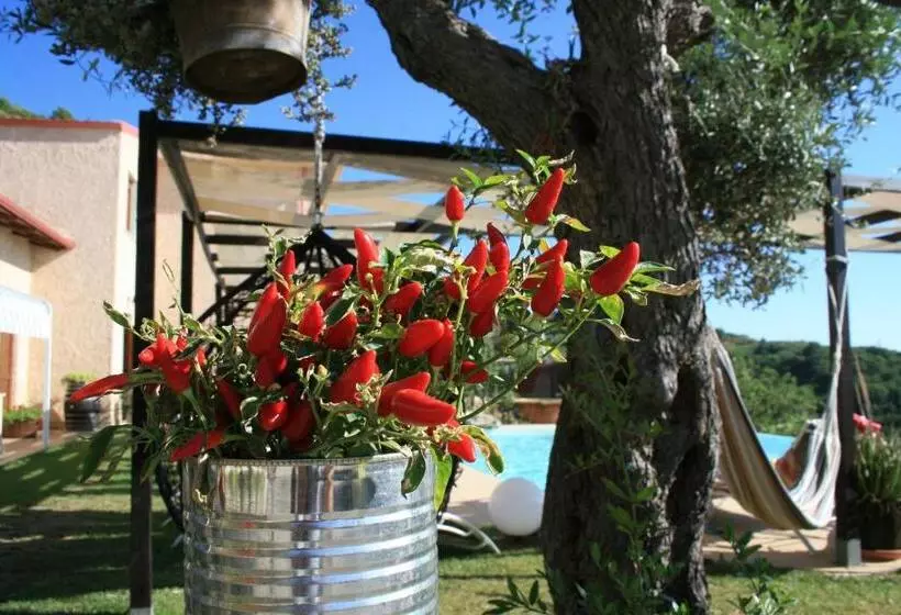 تختخواب و صبحانه Il Podere Dell Angelo Old Country House