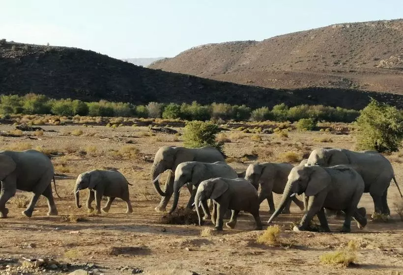 Hotelli Gondwana Family Lodge  Sanbona Wildlife Reserve