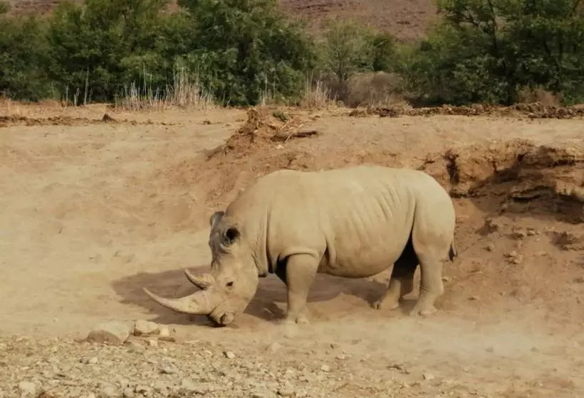 Hotelli Gondwana Family Lodge  Sanbona Wildlife Reserve