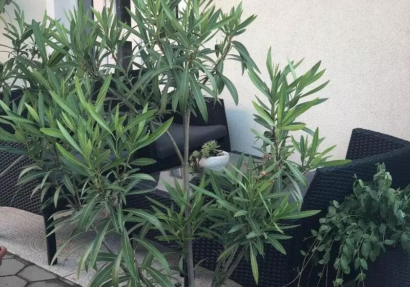 Majatalo House Magdic Plitvice