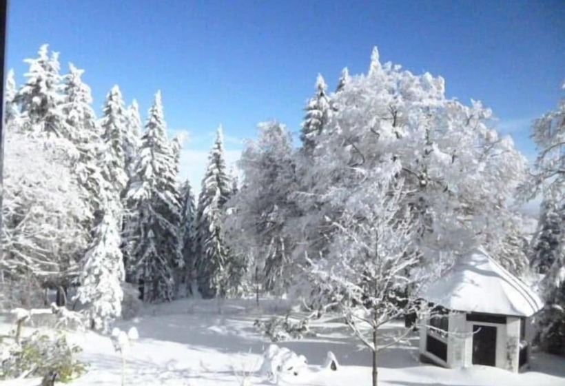 Pension Haus Am Waldesrand