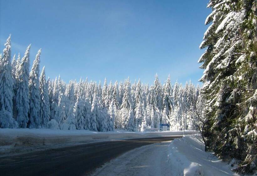 Pension Haus Am Waldesrand