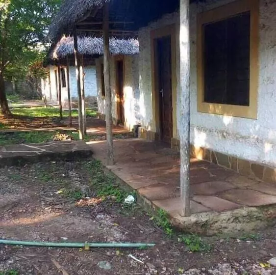 Wasini Dolphin Divers Lodge   Hostel