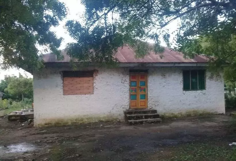 Wasini Dolphin Divers Lodge   Hostel