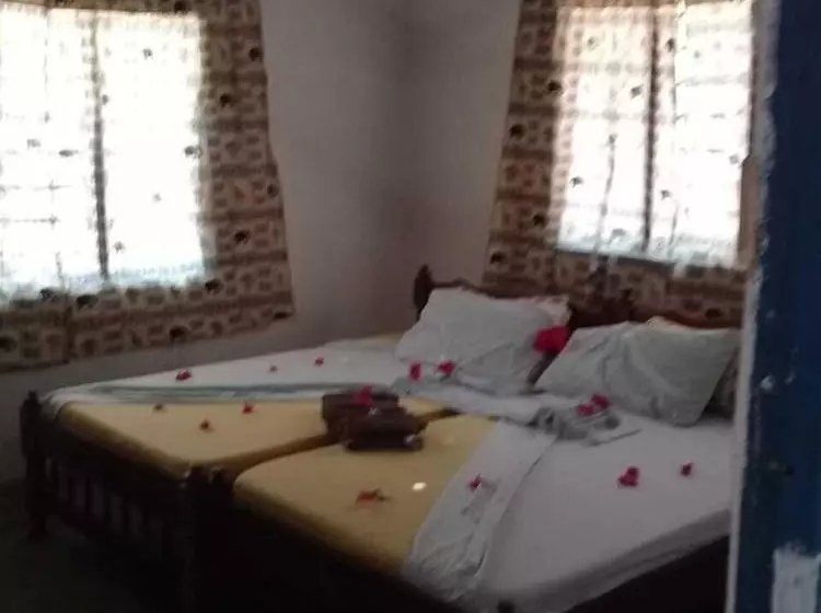 Wasini Dolphin Divers Lodge   Hostel