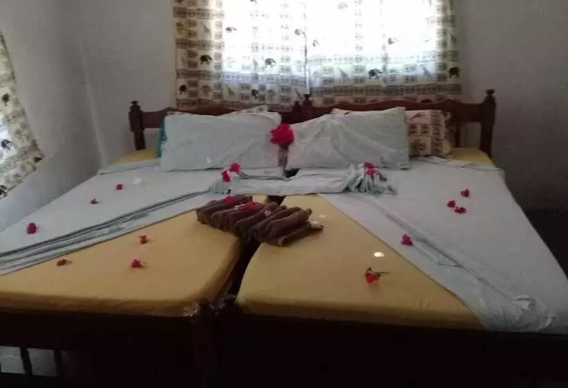 Wasini Dolphin Divers Lodge   Hostel