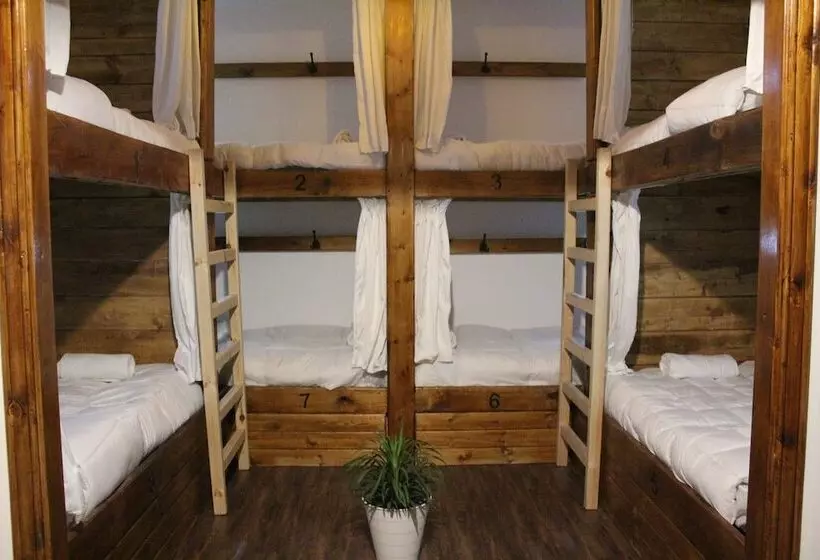 هاستل The Cabin