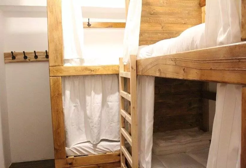 هاستل The Cabin