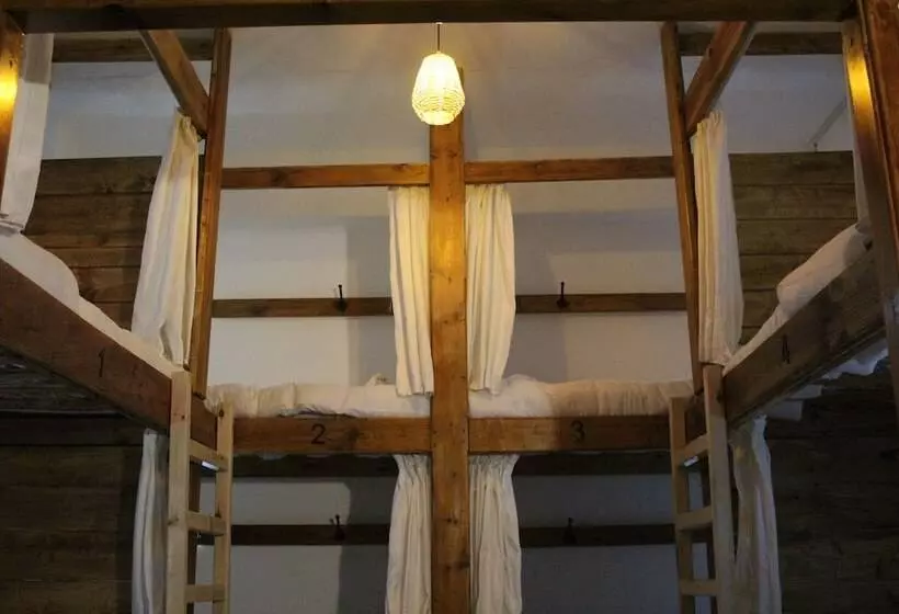 هاستل The Cabin