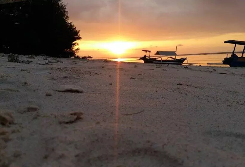 ホテル Laba Laba Bungalow