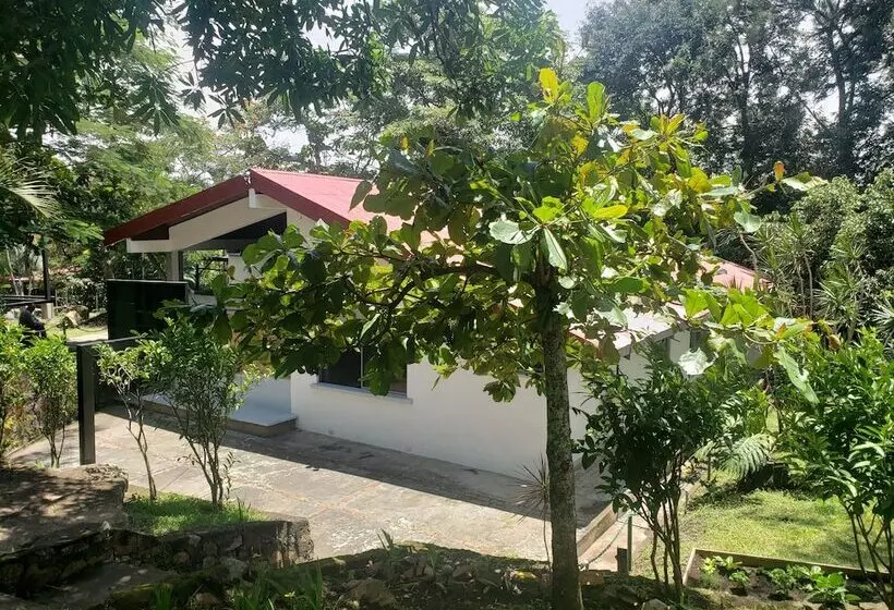 Hotelli Better Life Suites & Studio