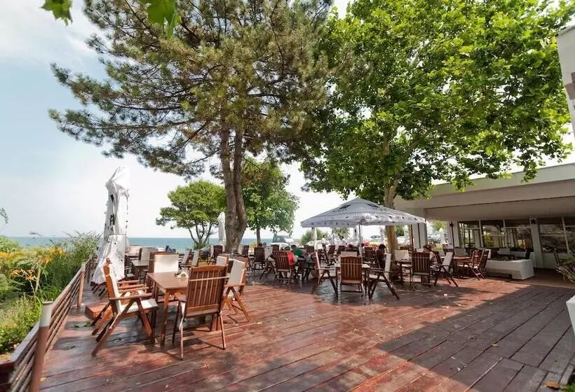 Hotel Opal Cap Aurora