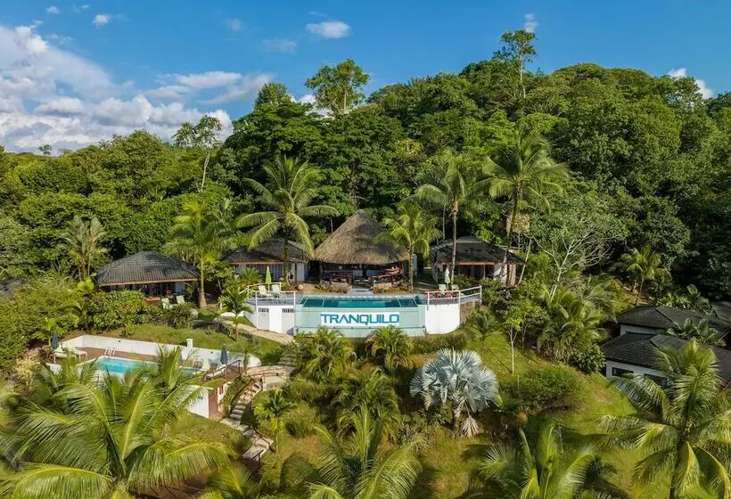 ホテル The Tranquilo Lodge   All Meals Included
