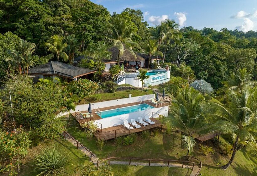 호텔 The Tranquilo Lodge   All Meals Included