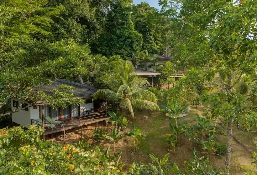 ホテル The Tranquilo Lodge   All Meals Included