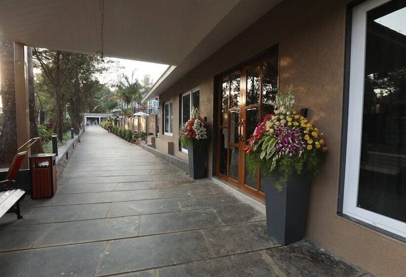 Hotel Basilica Rediscover Serenity