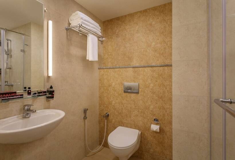 Отель Ginger Sanand