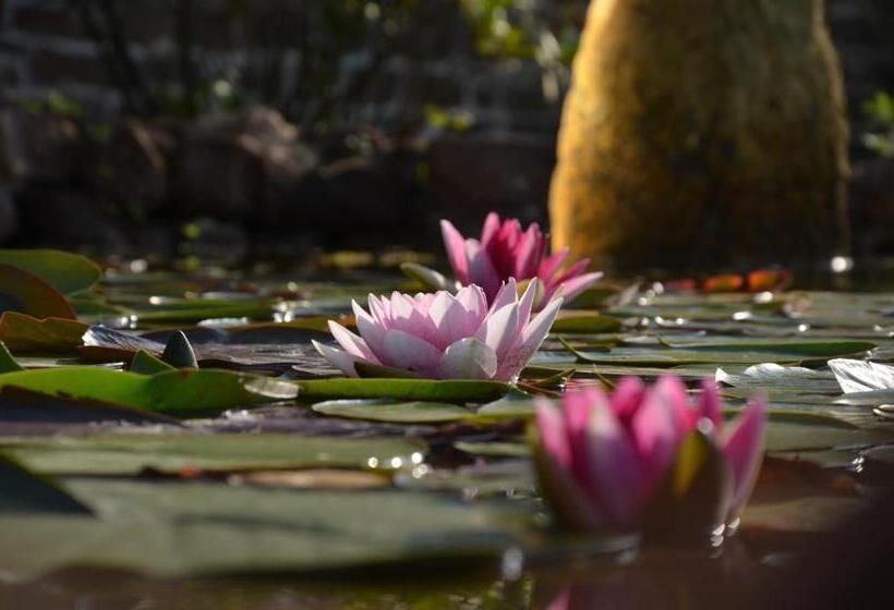هتل Haus Adams   Das Wohlfühl Gästehaus
