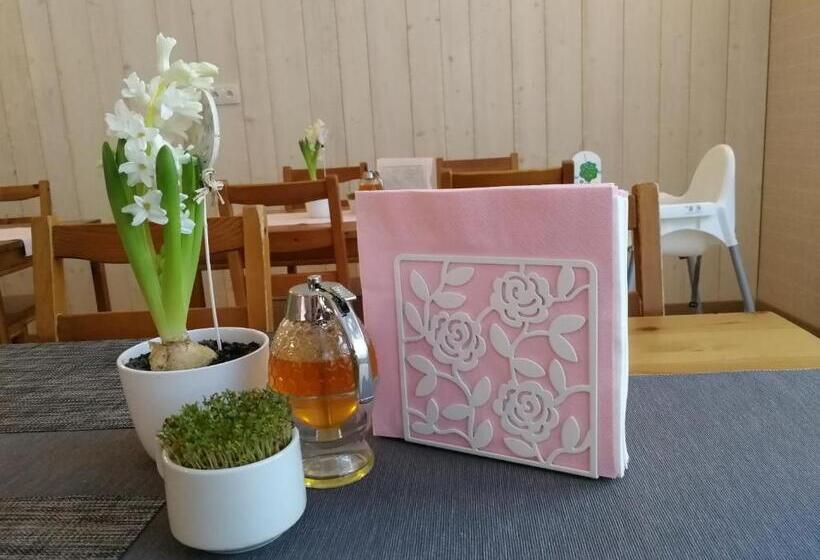 Szálloda Penzion Bílá Voda