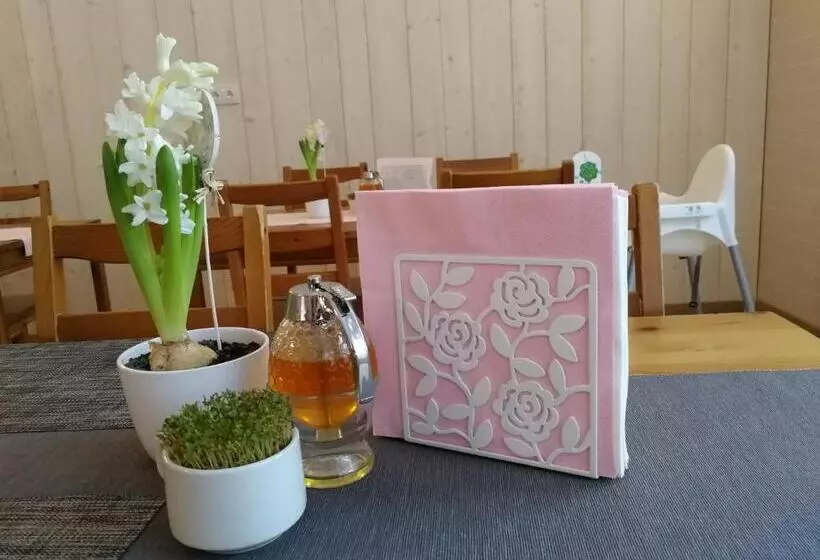 Hotelli Penzion Bílá Voda