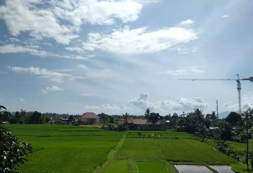 Aamiaismajoitus (B&B) De Lungguh Family Homestay