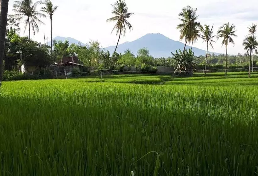 Aamiaismajoitus (B&B) De Lungguh Family Homestay