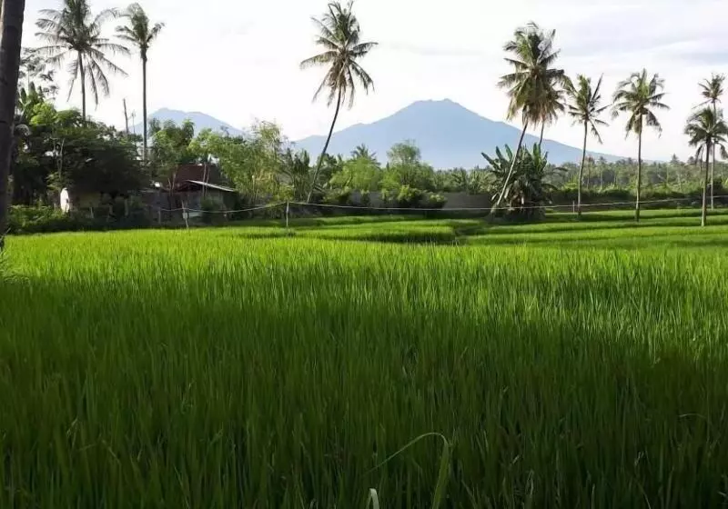 Aamiaismajoitus (B&B) De Lungguh Family Homestay