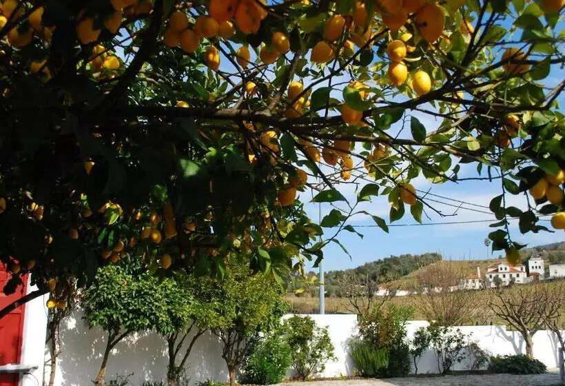 Casa Relogio De Sol