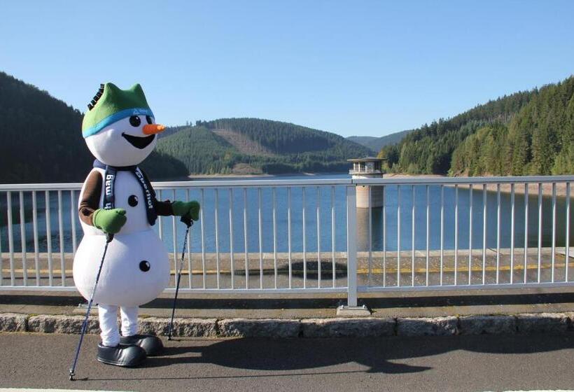 Hotel Pension Haus Flora