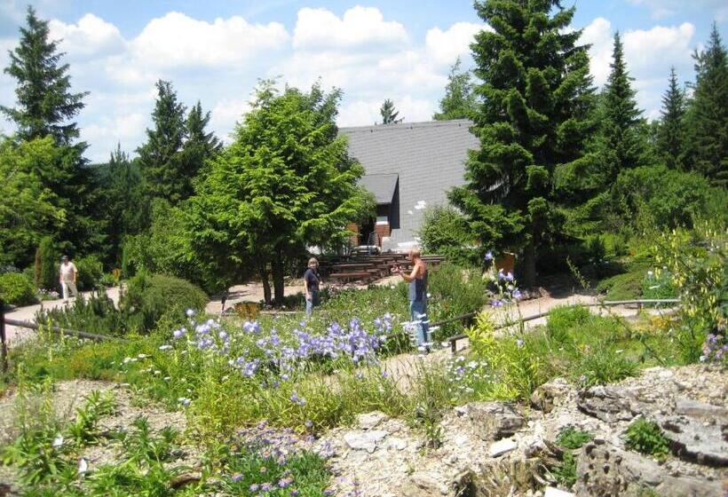 Hotel Pension Haus Flora