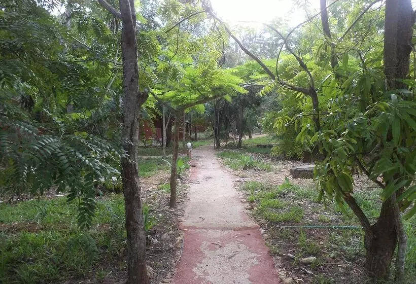 هتل Gosana Eco Nature