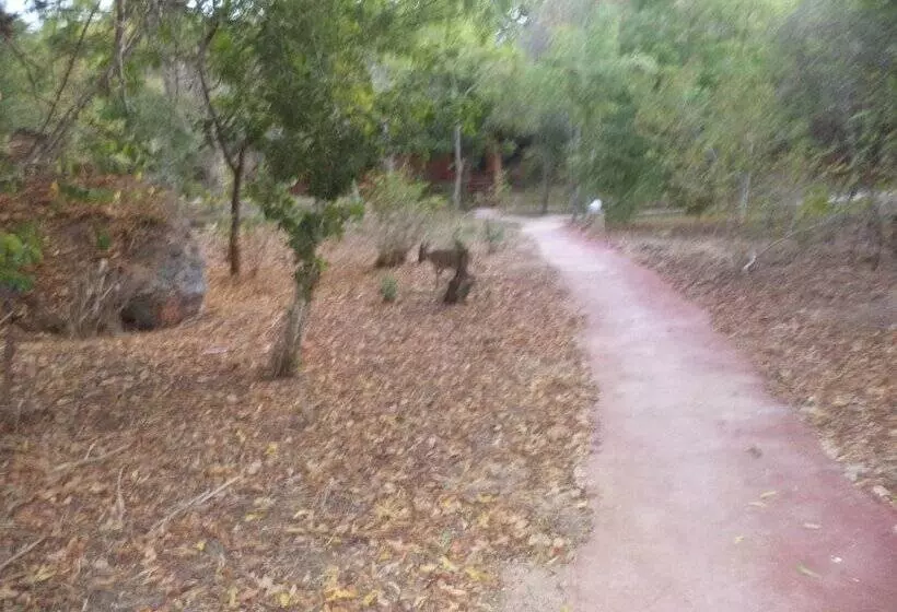 هتل Gosana Eco Nature