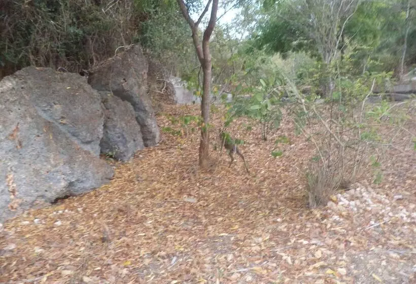 هتل Gosana Eco Nature