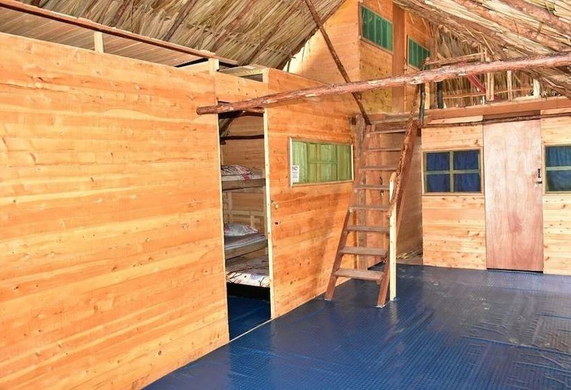 فندق Hostal El Encanto De Los Corales