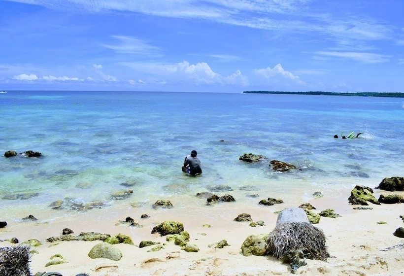 فندق Hostal El Encanto De Los Corales