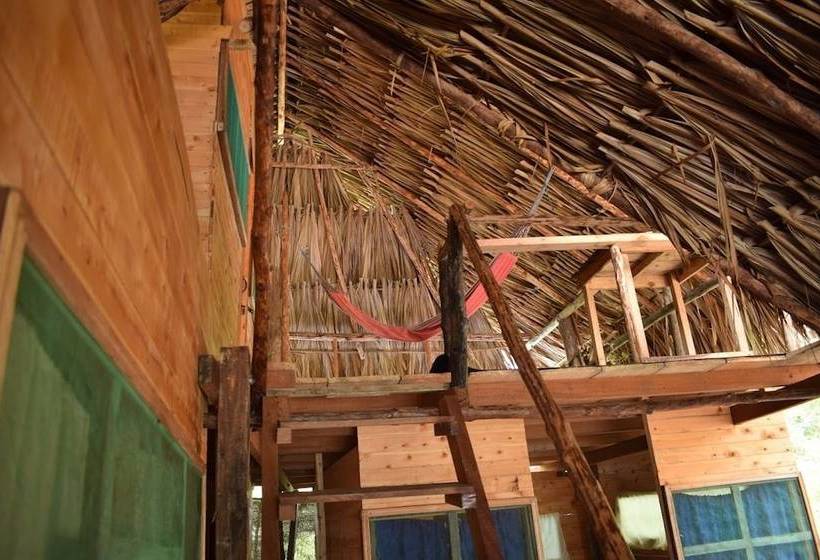 فندق Hostal El Encanto De Los Corales