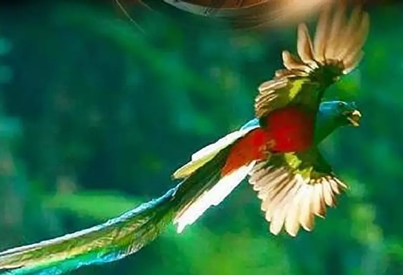 هتل Posada Rosa Balvina