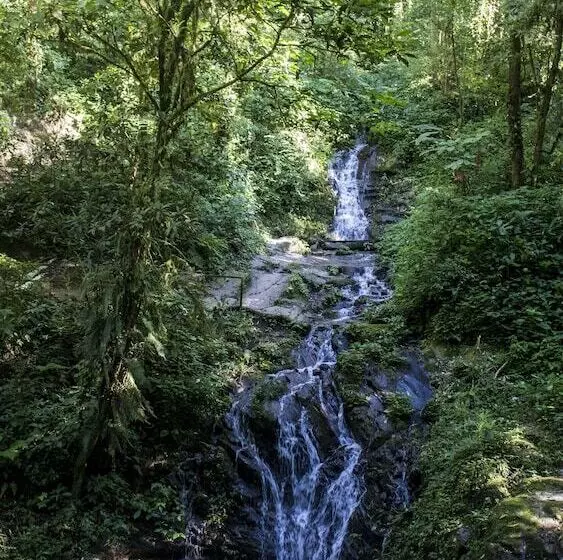 هتل Posada Rosa Balvina