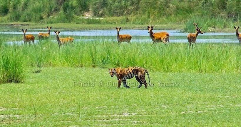 Ghumtee Riviera Resort